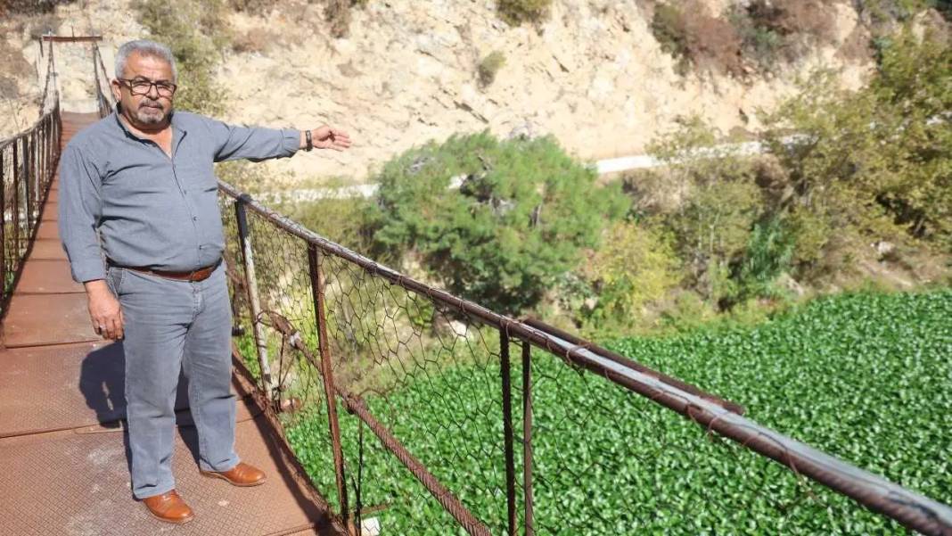 Hatay’da Görsel Şölen Mest Etti: Asi Nehri Sümbül Cenneti Oldu! 4